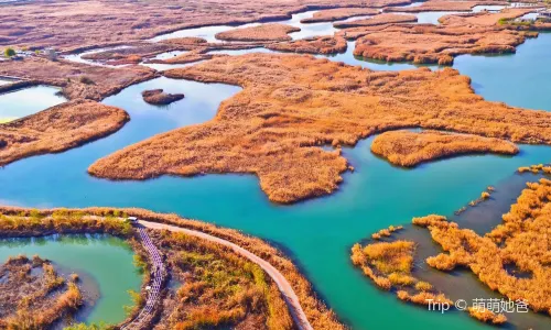 Zhangye National Wetland Park