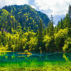 RU YI LIN KA CANG CAN User Photo