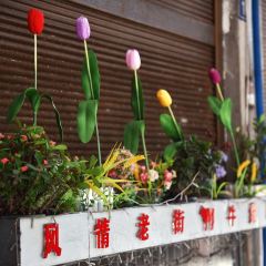 长泰茶书院 User Photo