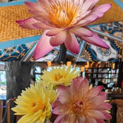 哈尼人家 User Photo