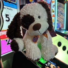Dave & Buster's張用戶圖片