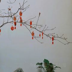 书里书外复合空间 User Photo