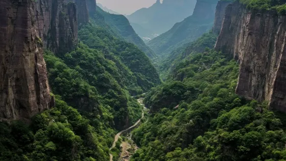 抱犢村