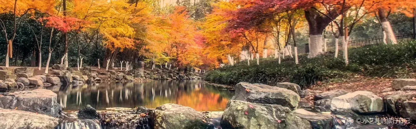 가을 경치
