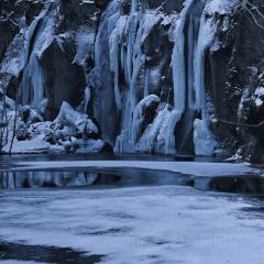 长白山万达喜来登度假酒店·大堂吧 User Photo