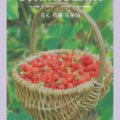 五德酒家 여행 사진