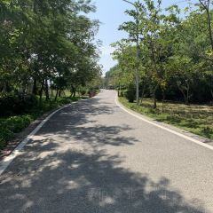 桂港海鮮城張用戶圖片