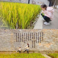 慈城年糕主题餐厅 User Photo