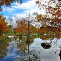 Pine Tree Lake User Photo