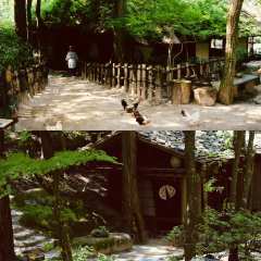 Sansai Cuisine Mitakien 여행 사진
