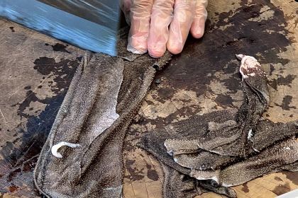 70大叔鲜毛肚火锅