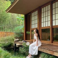 三宝村点心局(梨树园店) User Photo