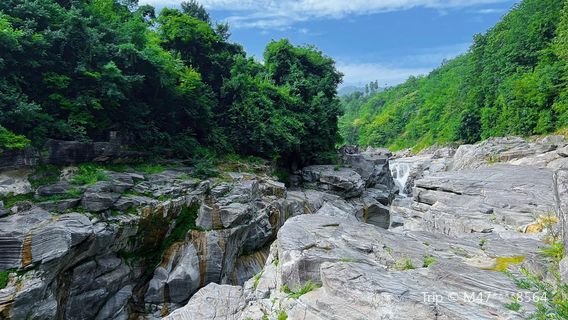 Yangxian Century Ancient Glacier Site