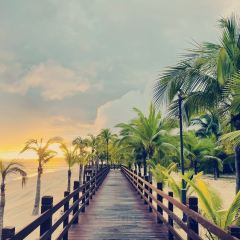 海南蓝湾绿城威斯汀度假酒店·西餐厅 여행 사진