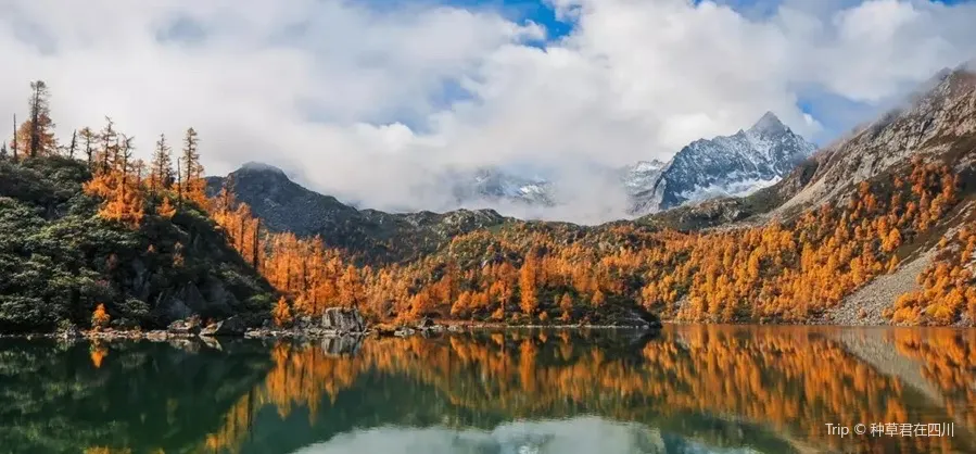 Fall Viewing Attractions