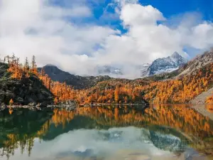 Điểm ngắm mùa thu Phổ Biến Tại Lý Đường