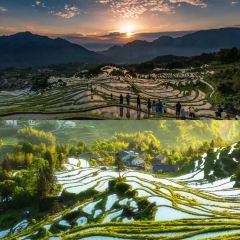 綠灣山莊張用戶圖片