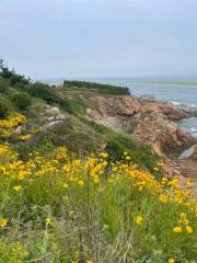 Phoenix Island Tourist Resort