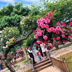 Wanhuagu Rose Manor User Photo