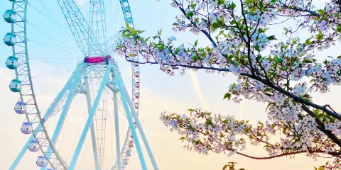 心湖公園-北湖公園
