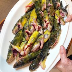 河里渔(阜宁直营店) User Photo