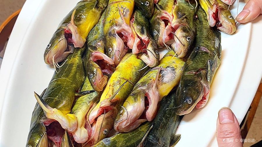 河里渔(阜宁直营店)