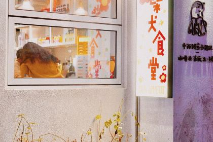 柴犬食堂(元帅路店)