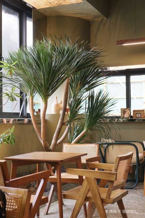 SHE&FLORA(南头古城店)