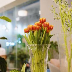 HARDCORE SUPPLY健身食堂張用戶圖片