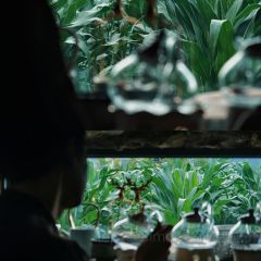 小岛家 User Photo