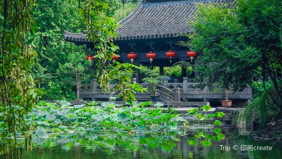 Shaoxing