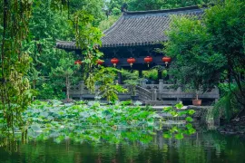 沈園