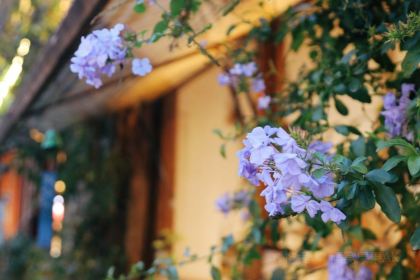 雲子石锅·围炉火塘餐厅