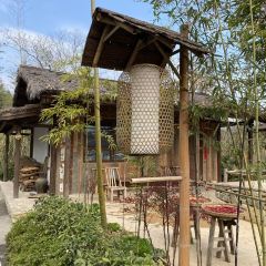 田小狗的饭店(宜春梅花村店) User Photo