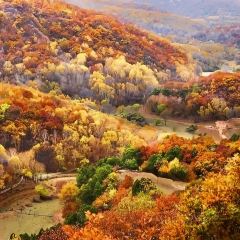 黄土高坡(晋绥东路店) User Photo