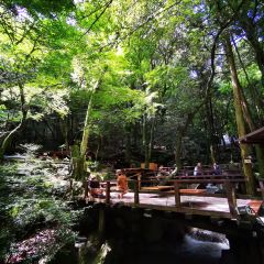 Dangoan ảnh của người dùng