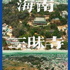 Zammai張用戶圖片