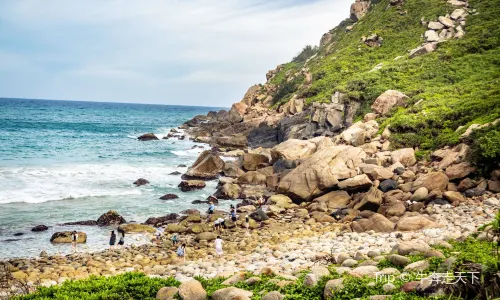 Beachcombing in Wanning