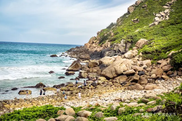 Beachcombing in Wanning