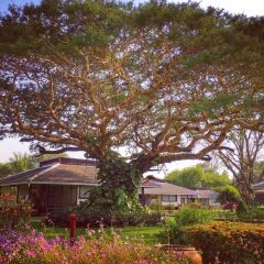 Bagan Thiripyistaya Sanctuary Resort User Photo