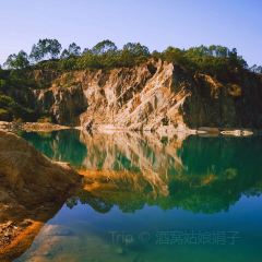 翠園農莊張用戶圖片