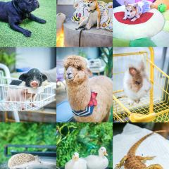 Dakku沖鴨俱樂部張用戶圖片