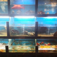 老店鹵鵝張用戶圖片