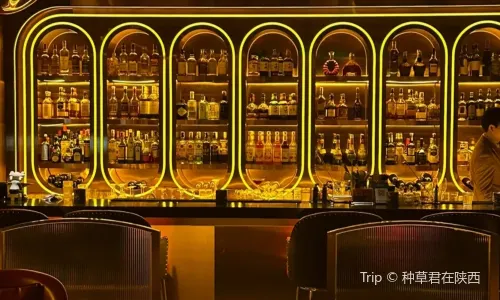 FOLLOW LOUNGE