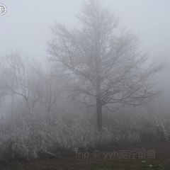 海东万枫酒店·自助餐厅 User Photo