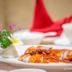 惠陽碧桂園鳳凰酒店餐廳張用戶圖片