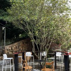 倉北文旅·小酒館咖啡張用戶圖片