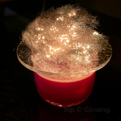 IN VINO VERITAS 祕境•探祕張用戶圖片