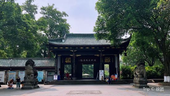 桂湖森林广场是近年新建的与《杨升庵祠与桂湖》一墙之隔的景区，