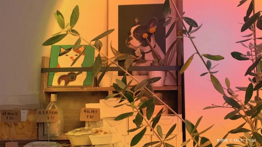 Monster Cake檬兽甜品店